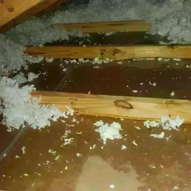 Attic Water Damage in Miami, OK