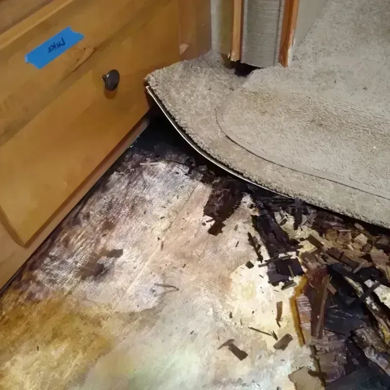 Wood Floor Water Damage in Miami, OK